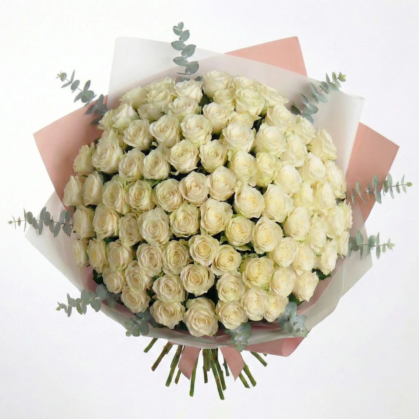 High-End Bouquet of 50 White Roses