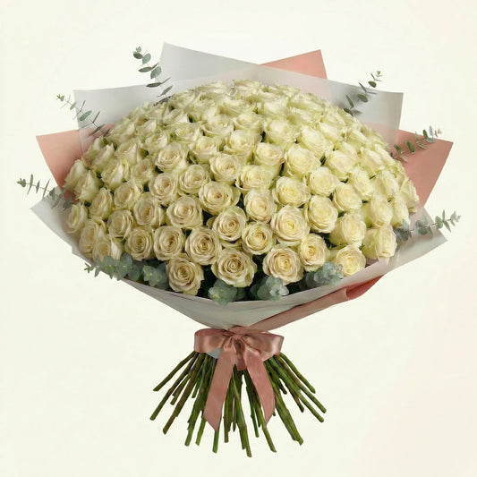 High-End Bouquet of 100 White Roses